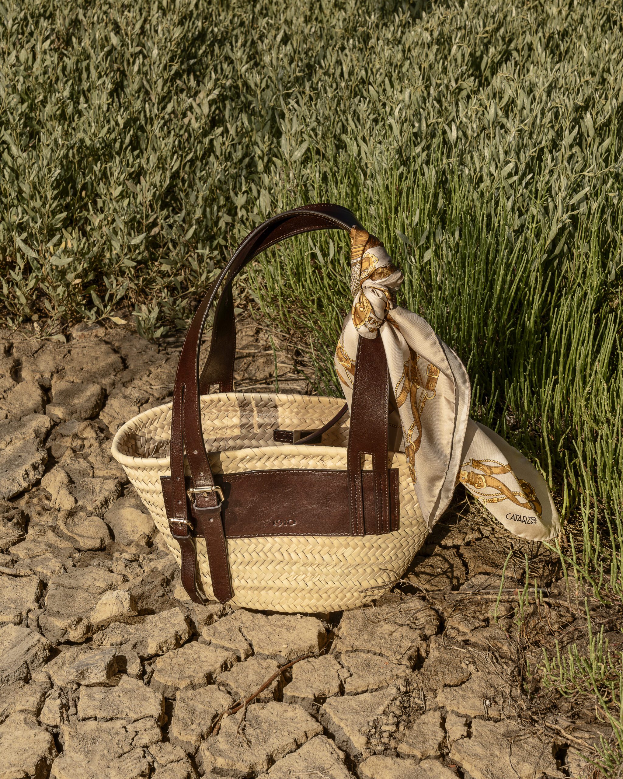 CATARZI_SS_260211 1-1 copia