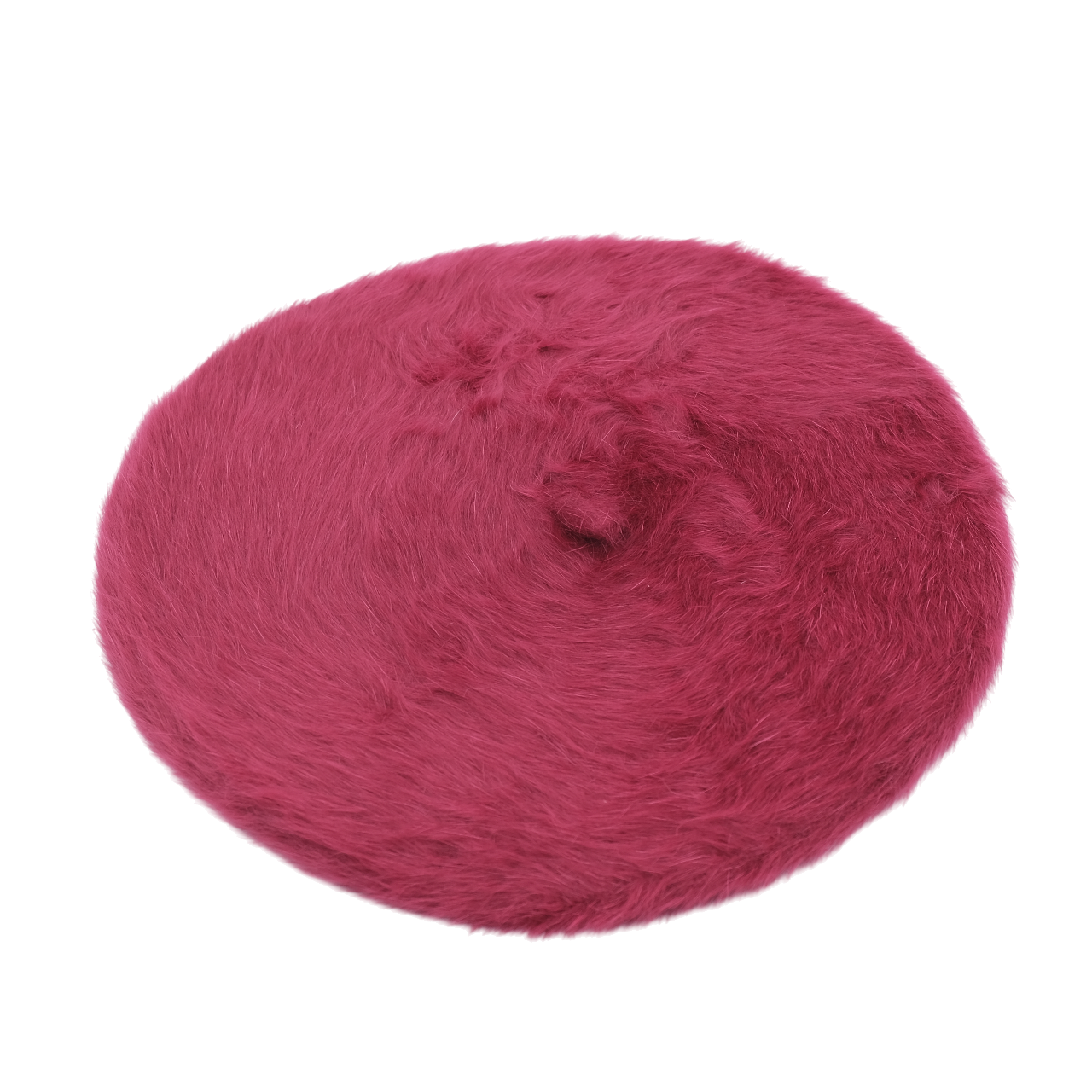 LIMONE - immagine 1